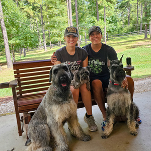 Team Page: Schnauzers With Style